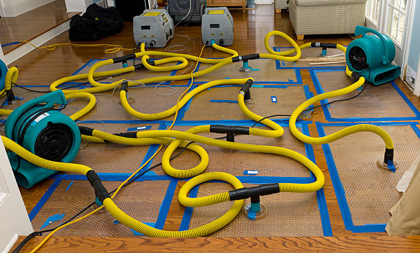 Professional Crawl Space Water Removal technician working in Borrego Springs, CA